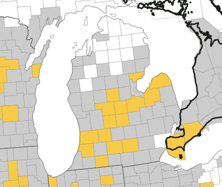 The Crop Protection Network&rsquo;s Tar Spot Map showing Michigan counties with confirmed tar spot as of August 27. Counties in gold have had tar spot confirmed in 2026.
